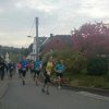 24. Ehrenfriedersdorfer Röhrgrabenlauf